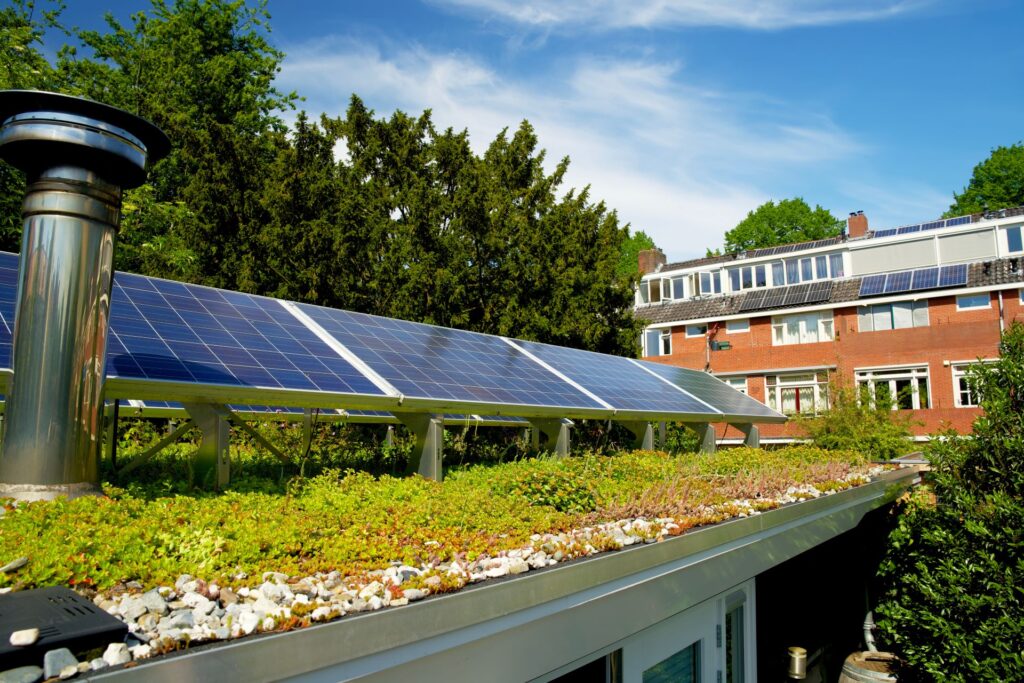 Extensive Dachbegrünung mit Solarpanels und natürlicher Bepflanzung.