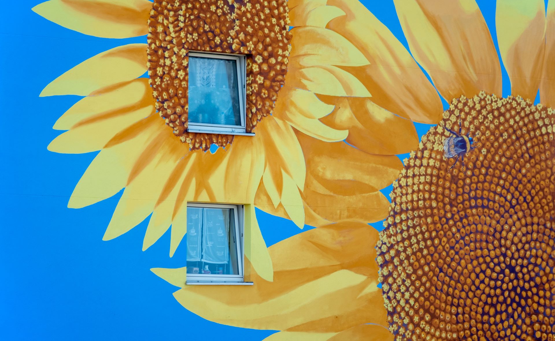 Fassade mit riesigem Sonnenblumen-Mural